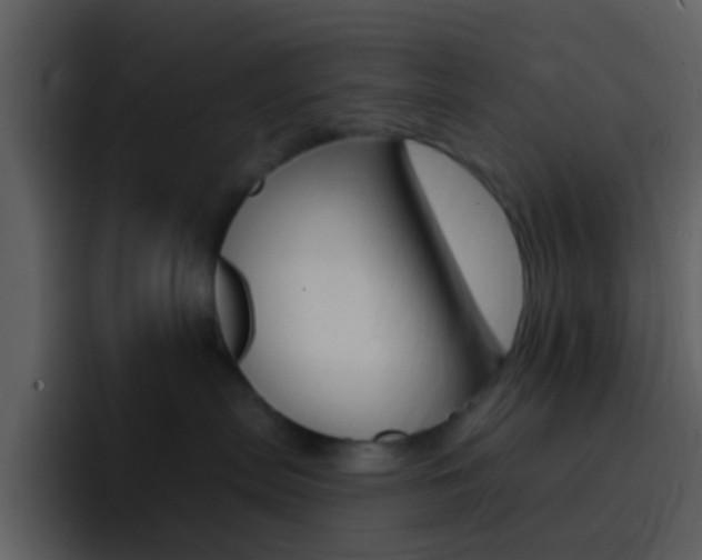 X0000096990287200802080925