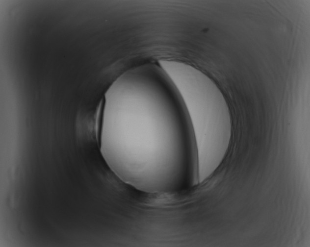 X0000096990288200802080925