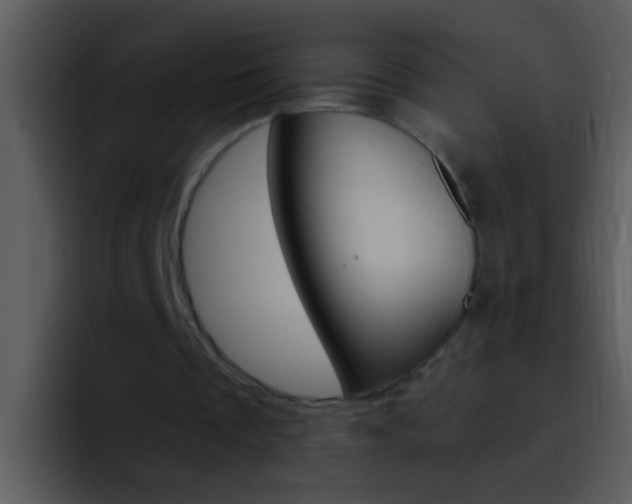 X0000096990289200802080925