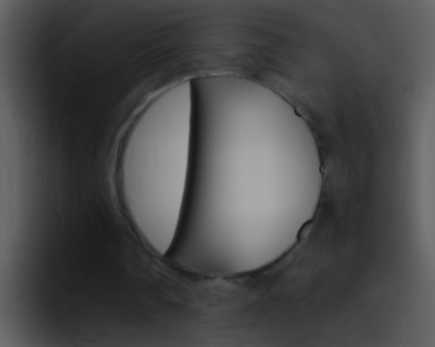 X0000096990290200802080925