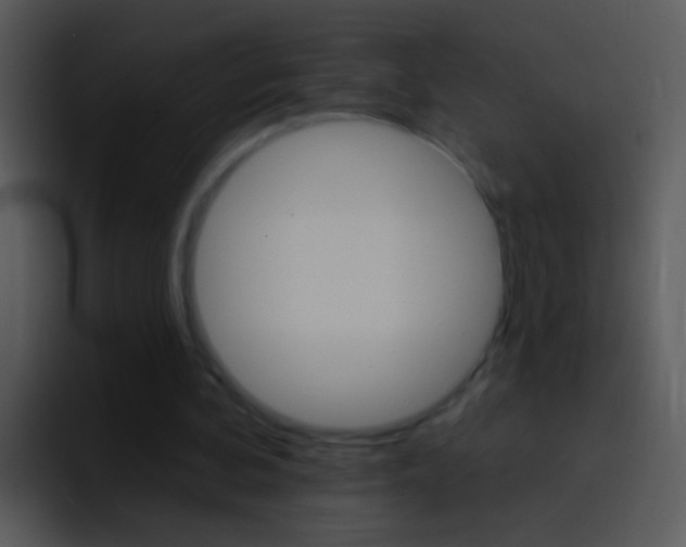 X0000096990292200802080925