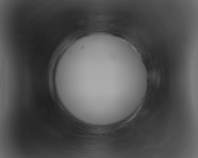 X0000096990293200802080925