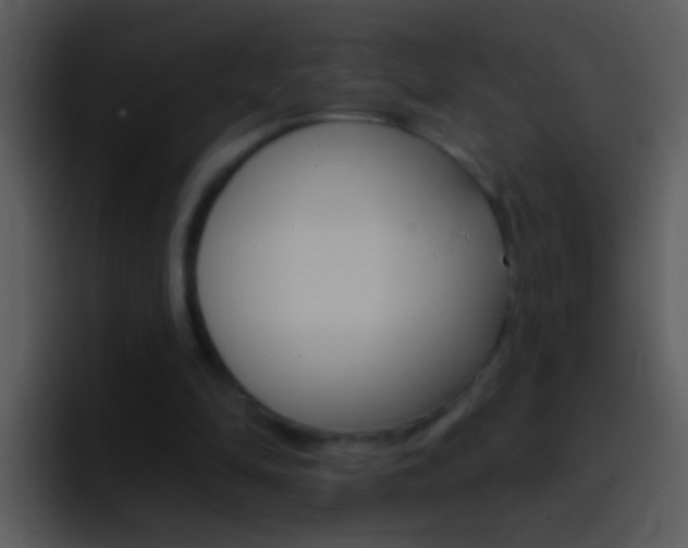X0000096990294200802080925