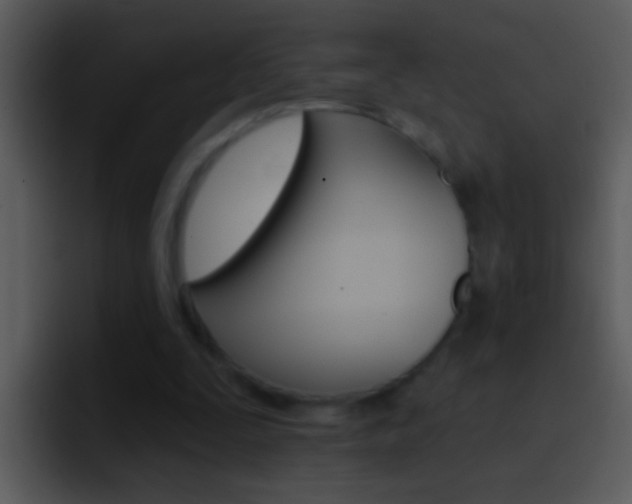 X0000096990295200802080925