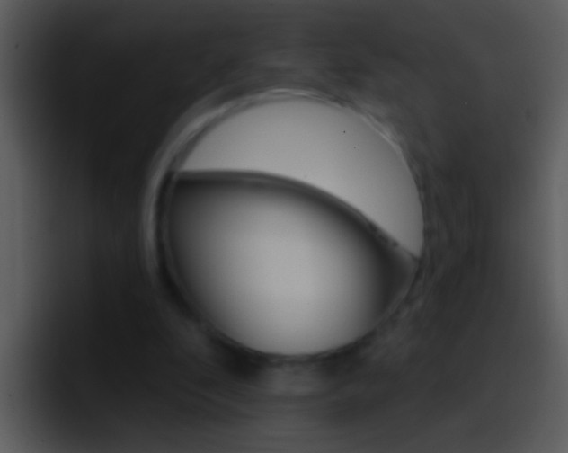 X0000096990296200802080925