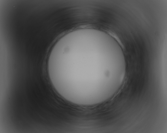 X0000096990297200802080925