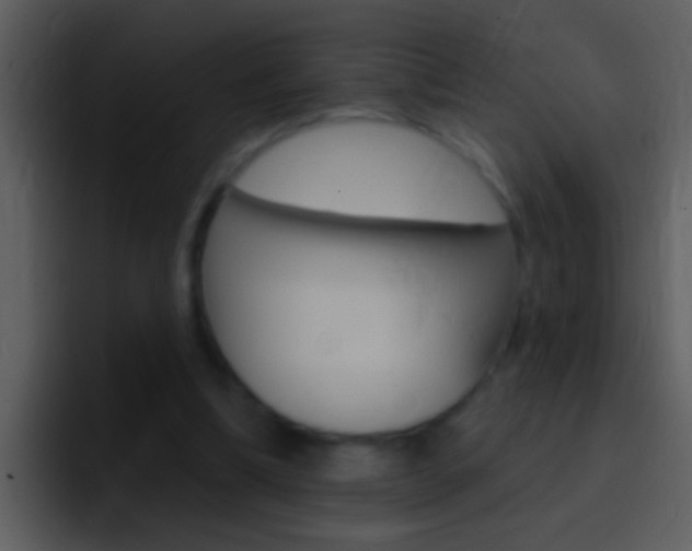 X0000096990298200802080925