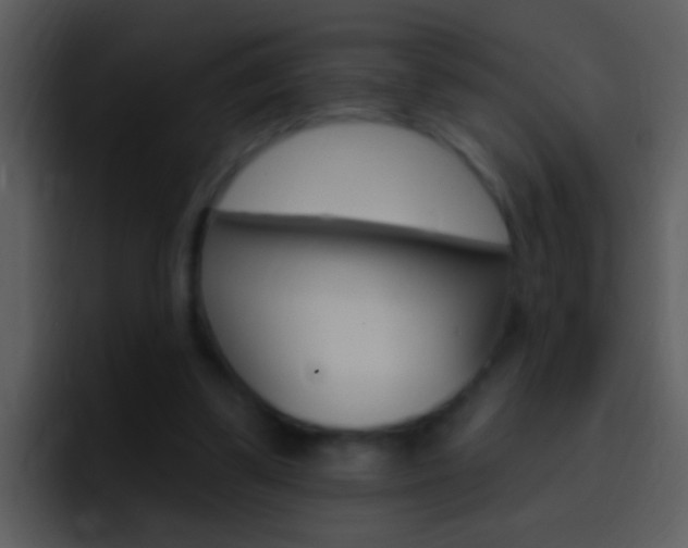 X0000096990299200802080925