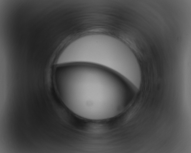 X0000096990300200802080925