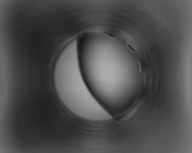 X0000096990301200802080925