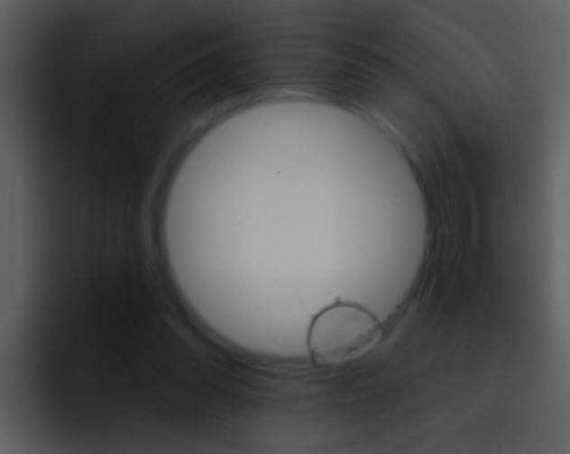 X0000096990302200802080925