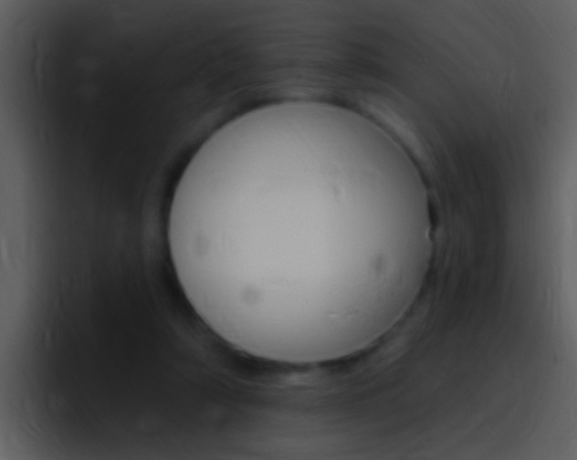X0000096990306200802080925