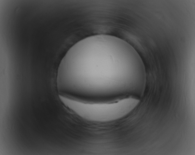X0000096990307200802080925