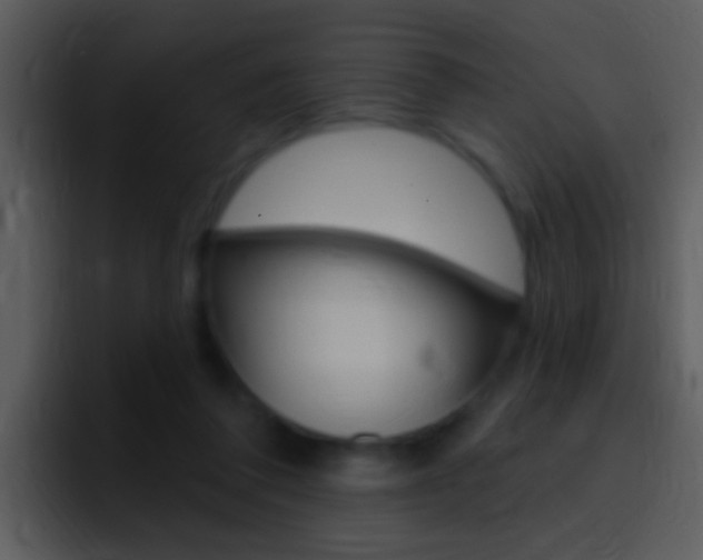 X0000096990308200802080925