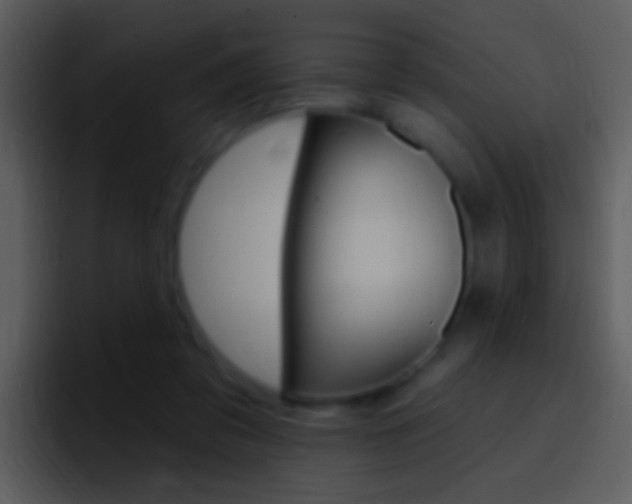 X0000096990309200802080925