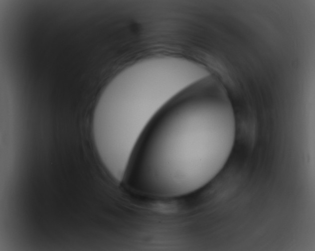 X0000096990317200802080924