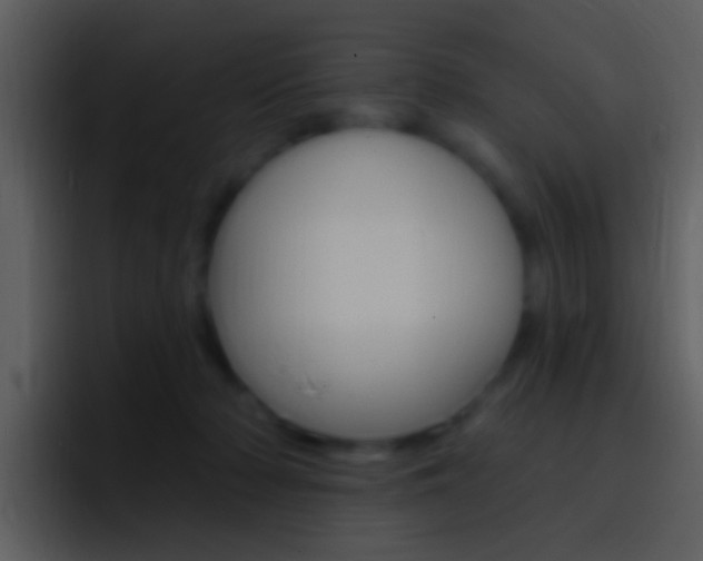 X0000096990318200802080924