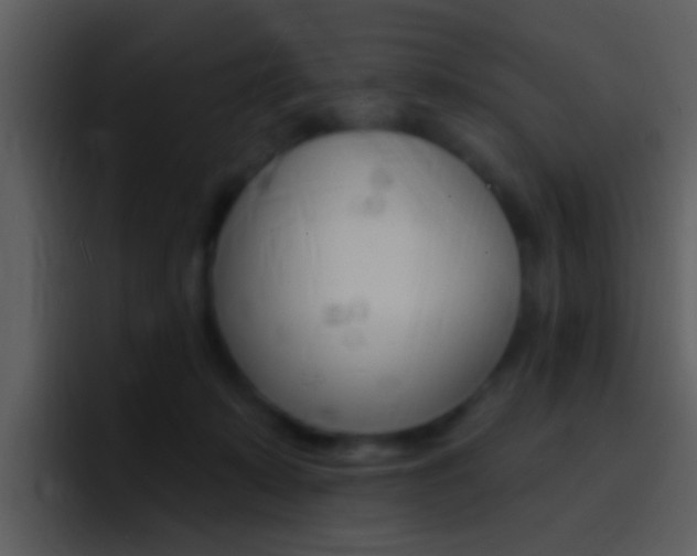 X0000096990319200802080924