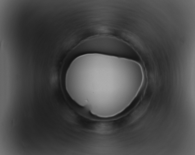 X0000096990320200802080924