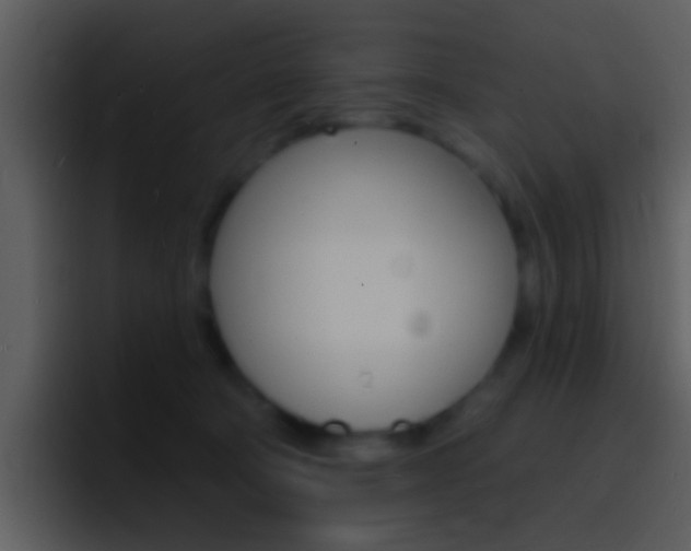 X0000096990322200802080924
