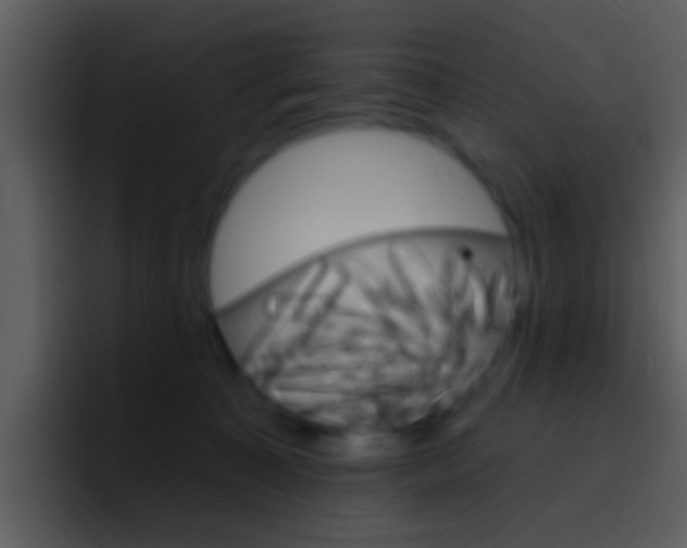 X0000096990323200802080924