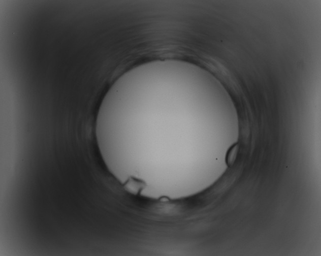 X0000096990326200802080924