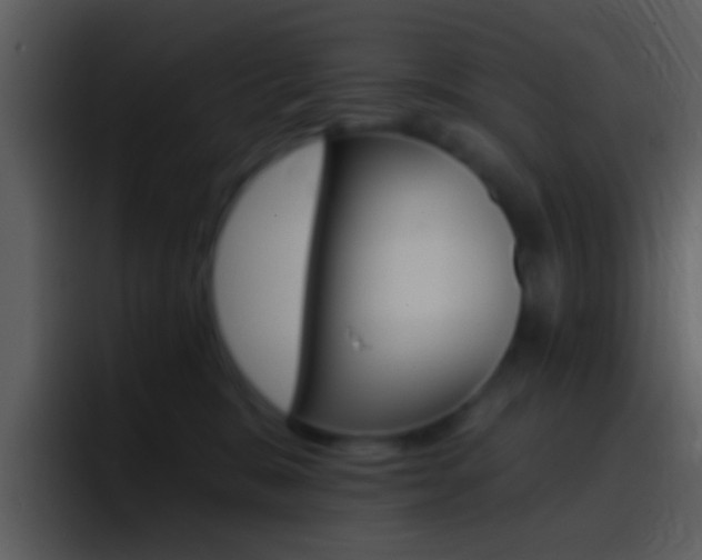 X0000096990327200802080924