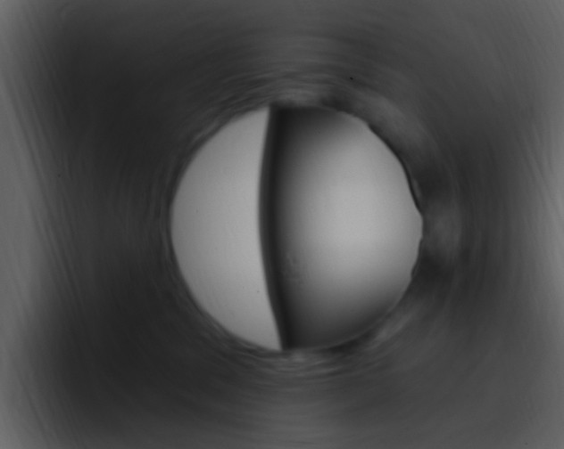 X0000096990329200802080924