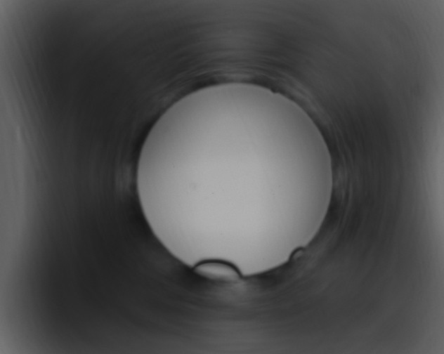 X0000096990330200802080924