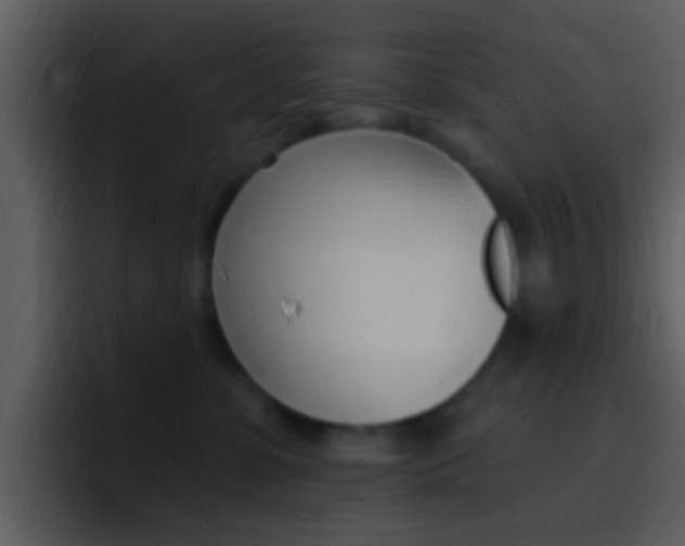 X0000096990331200802080924