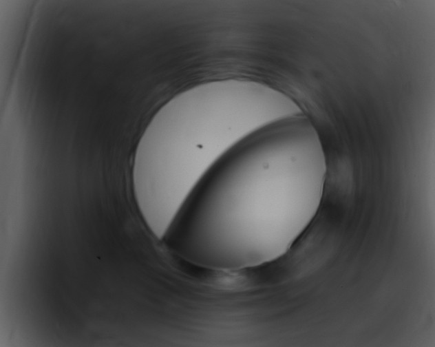 X0000096990333200802080924