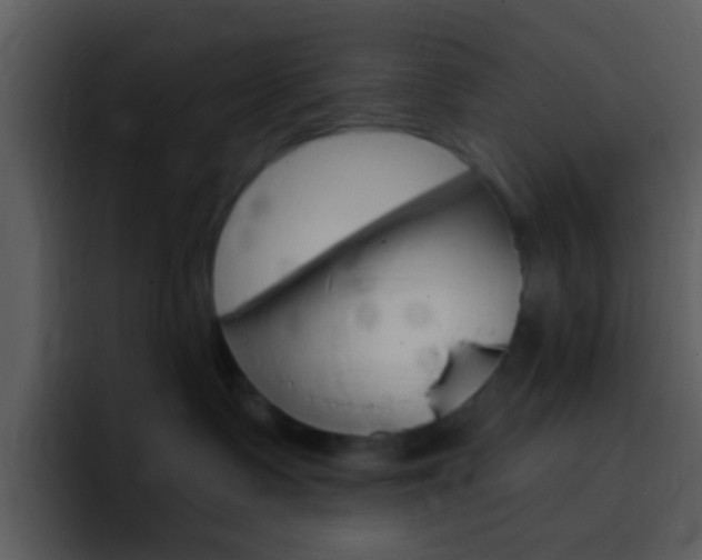 X0000096990335200802080924