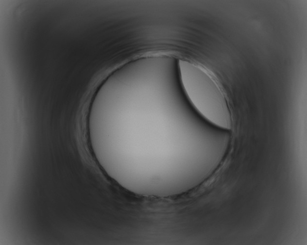 X0000096990337200802080924