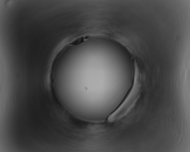 X0000096990340200802080924