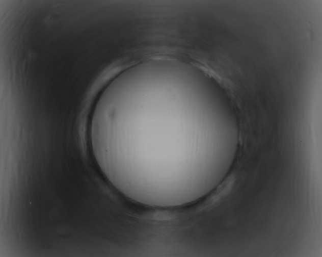 X0000096990341200802080924