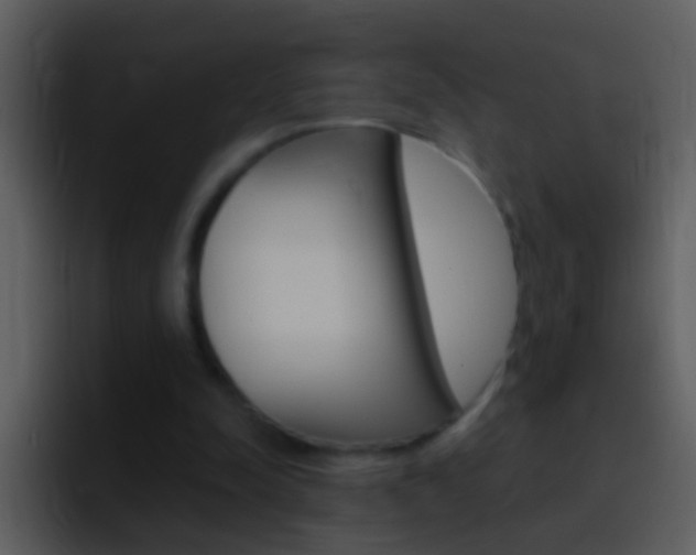 X0000096990342200802080924
