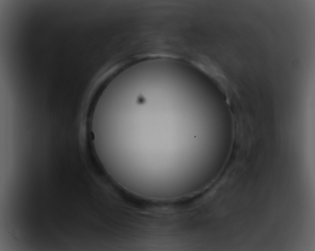X0000096990344200802080924