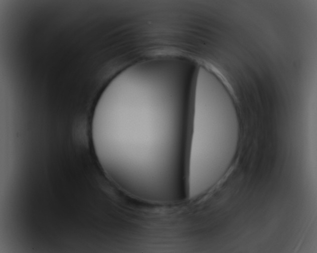 X0000096990345200802080924