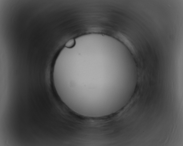 X0000096990346200802080924