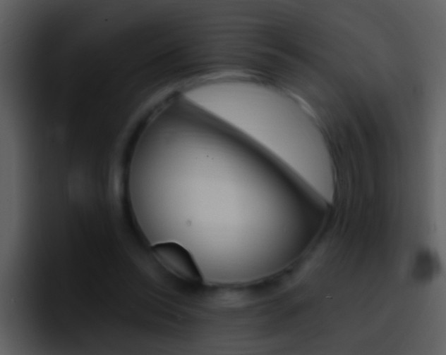 X0000096990350200802080924