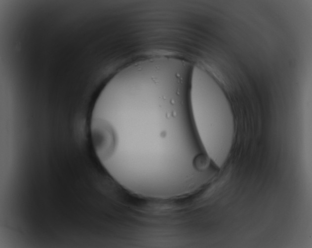 X0000096990351200802080924
