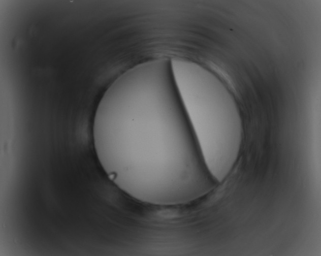 X0000096990353200802080924