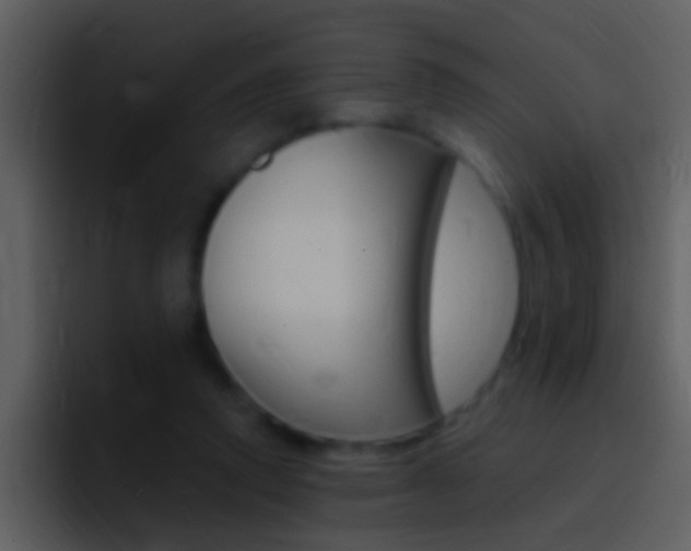 X0000096990354200802080924