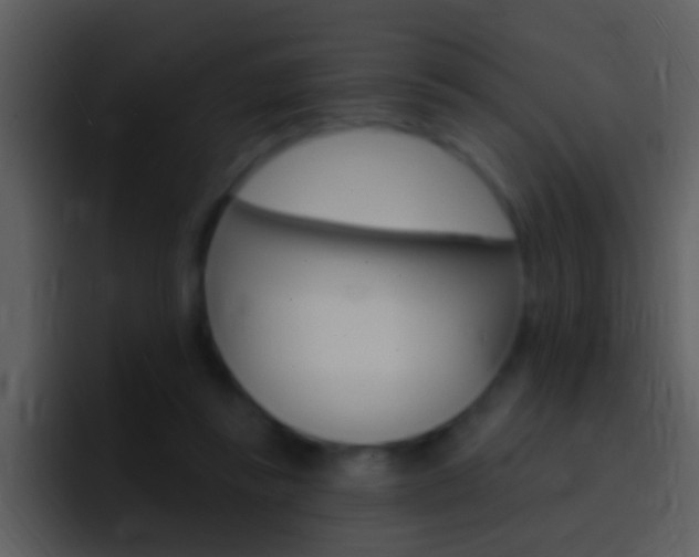 X0000096990355200802080924