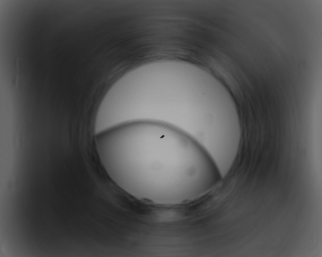 X0000096990356200802080924