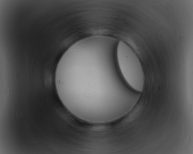 X0000096990357200802080924