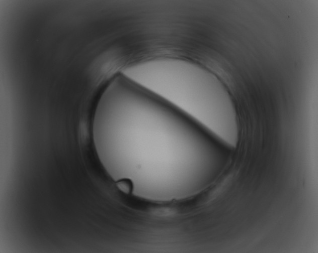 X0000096990358200802080924