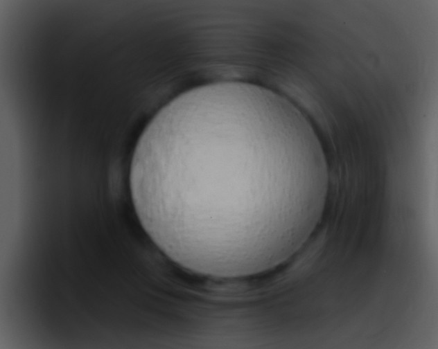 X0000096990359200802080924