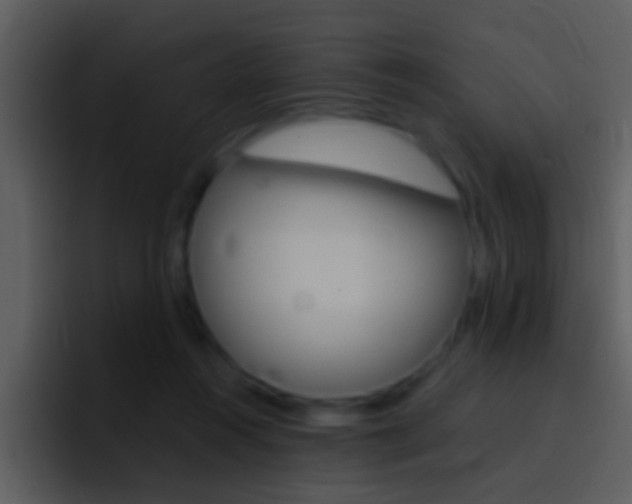 X0000096990360200802080924