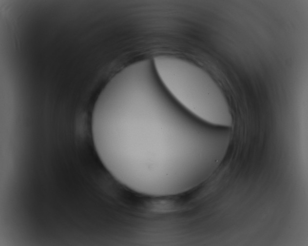 X0000096990361200802080924